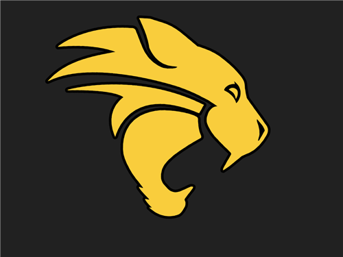 Wildcat logo 